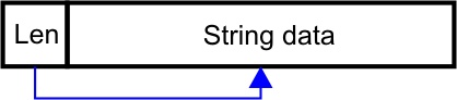 A diagram illustrating the length of field data.