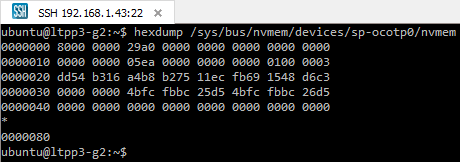 A screenshot of the Plus1's OTP hexdump output.